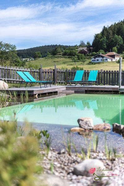 Le Domaine Des Fleurs - Appartement La Gentiane Gérardmer Zewnętrze zdjęcie